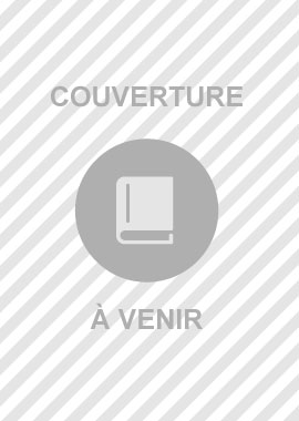Voyage au pays des sculpteurs romans